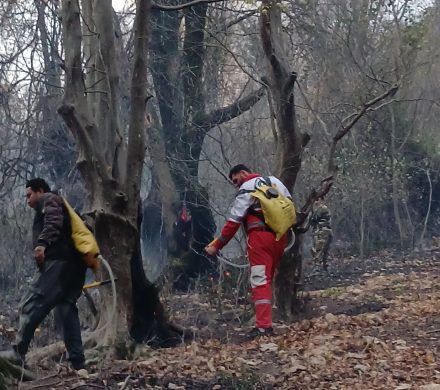 آتش سوزی جنگل کردکوی