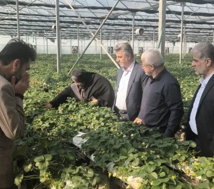 بازدید معاون اقتصادی استاندار گلستان از شهرستان کردکوی