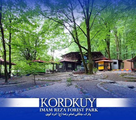 پارک جنگلی امام رضا (ع)