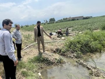 پرونده آبیاری غیرمجاز با فاضلاب در کردکوی