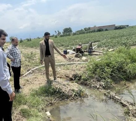 پرونده آبیاری غیرمجاز با فاضلاب در کردکوی