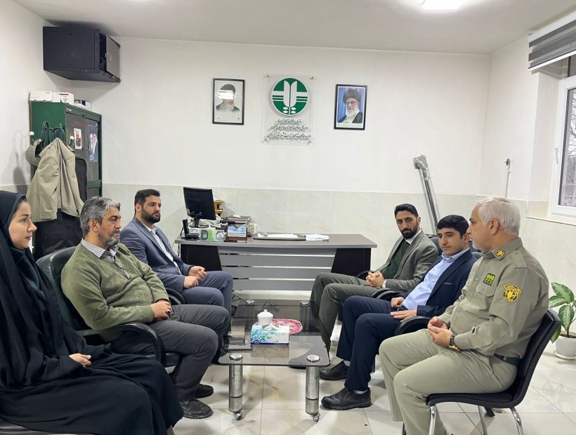 نظارت بر حسن اجرای قوانین و صیانت از حقوق عامه