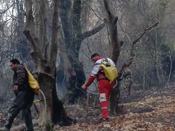 آتش سوزی جنگل کردکوی