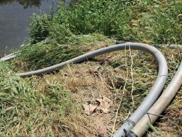 ورود دادستانی کردکوی به موضوع آبیاری مزارع با فاضلاب