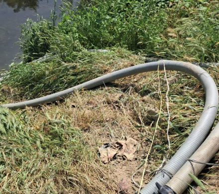 ورود دادستانی کردکوی به موضوع آبیاری مزارع با فاضلاب