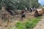 آغاز عملیات پاک‌سازی مسیر ورودی منطقه جنگلی دوآب کردکوی