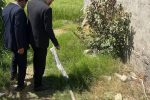 بازداشت متهم به آبیاری شالیزار با آب آشامیدنی در کردکوی